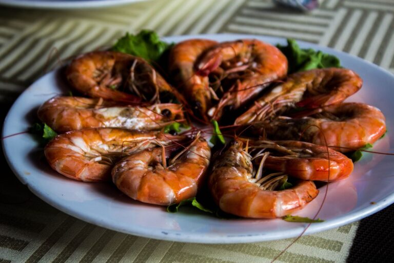 Busan’s Best Seafood Restaurants: Where Locals Actually Eat