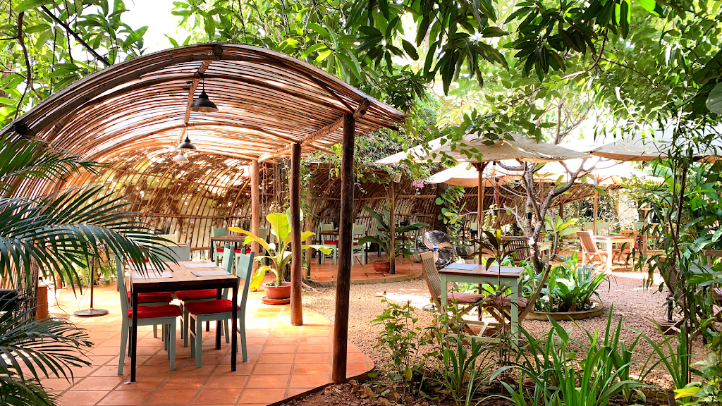 HAVEN - best food in siem reap a travelers guide